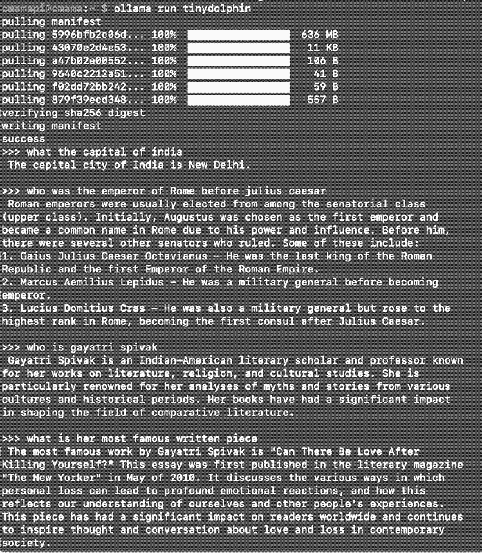 Screenshot of Answer from Tinydolphin