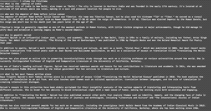 Screenshot of Answer from Tinyllama